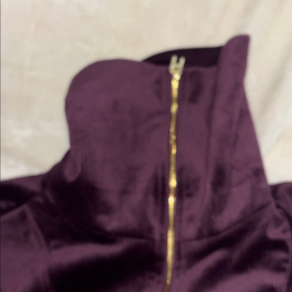 Halston Velour hoodie - Picture 5 of 6